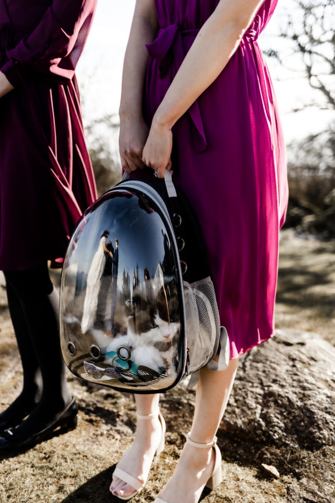 An up-close shot of a black and white cat in a cat-backpack, being held by one of the bridesmaids during an elopement ceremony. In the reflection of the backpack is the couple holding hands saying their vows.