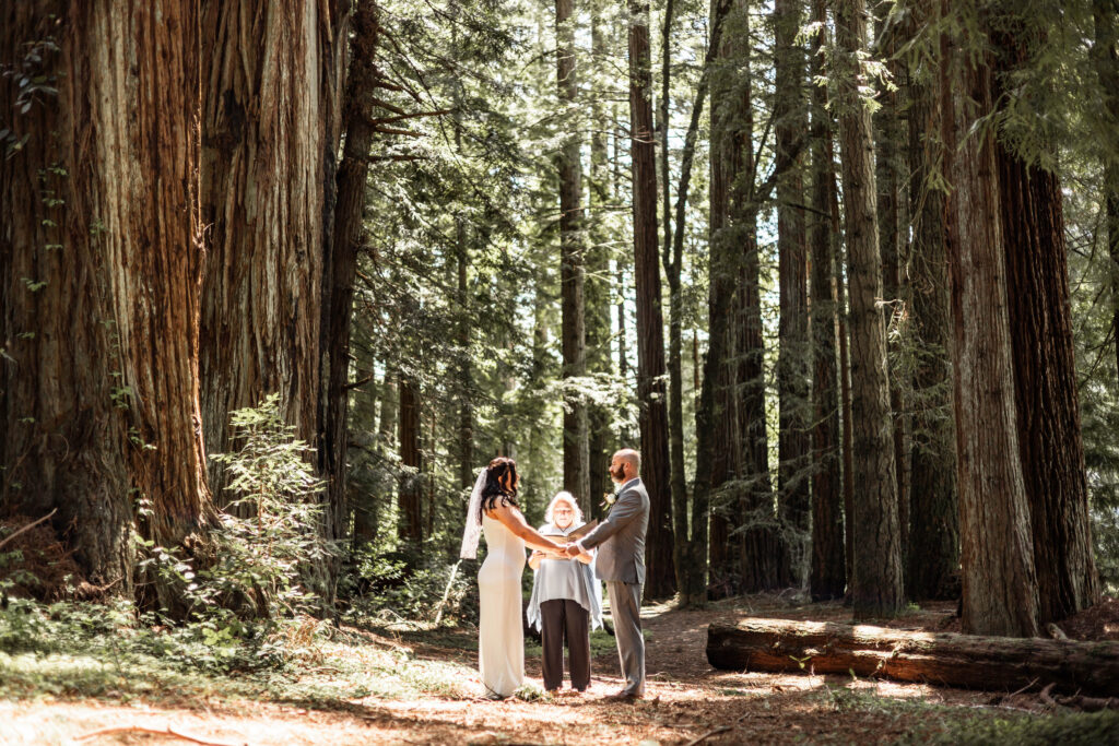 A couple stands in a redwood forest, holding hands and smiling at each other, surrounded by towering trees and lush greenery.
