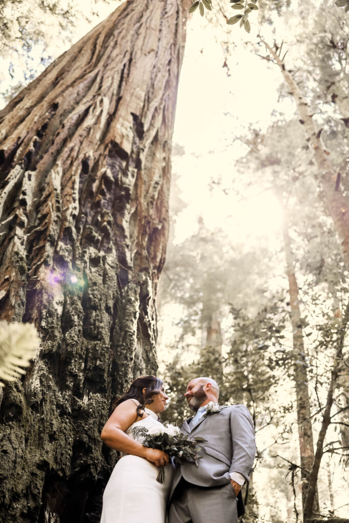 A married couple stands below a giant redwood tree.