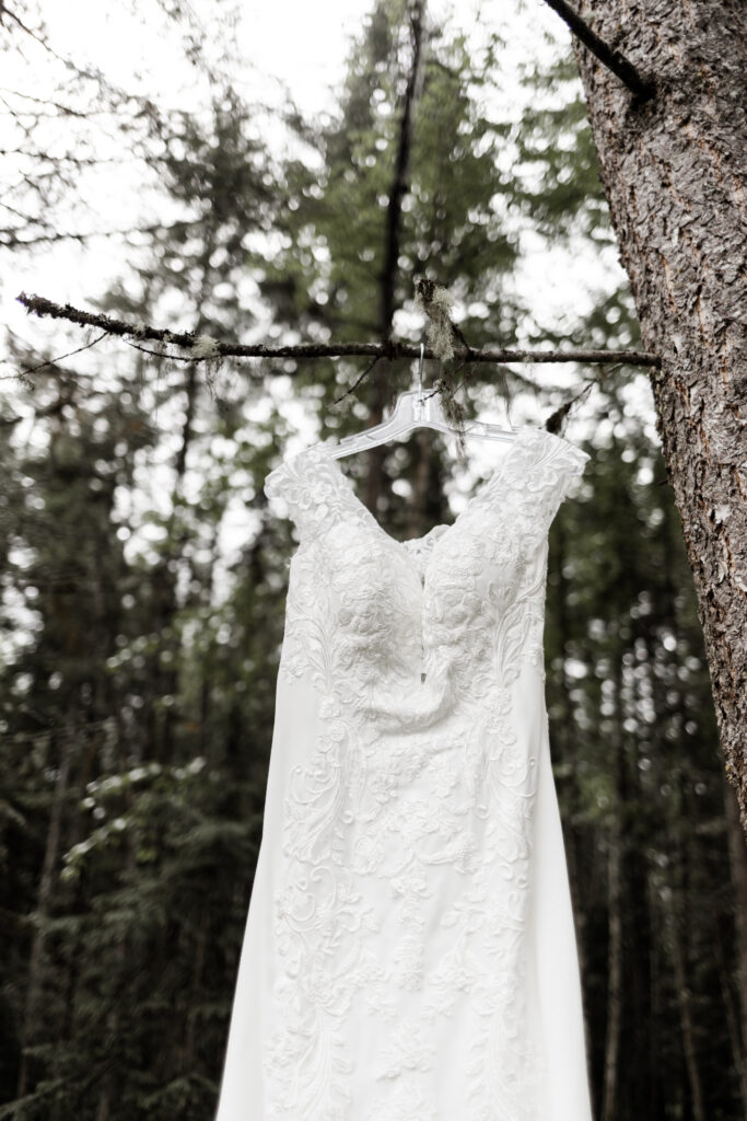 An up close of a wedding dress hanging in a tree at this canim lake wedding