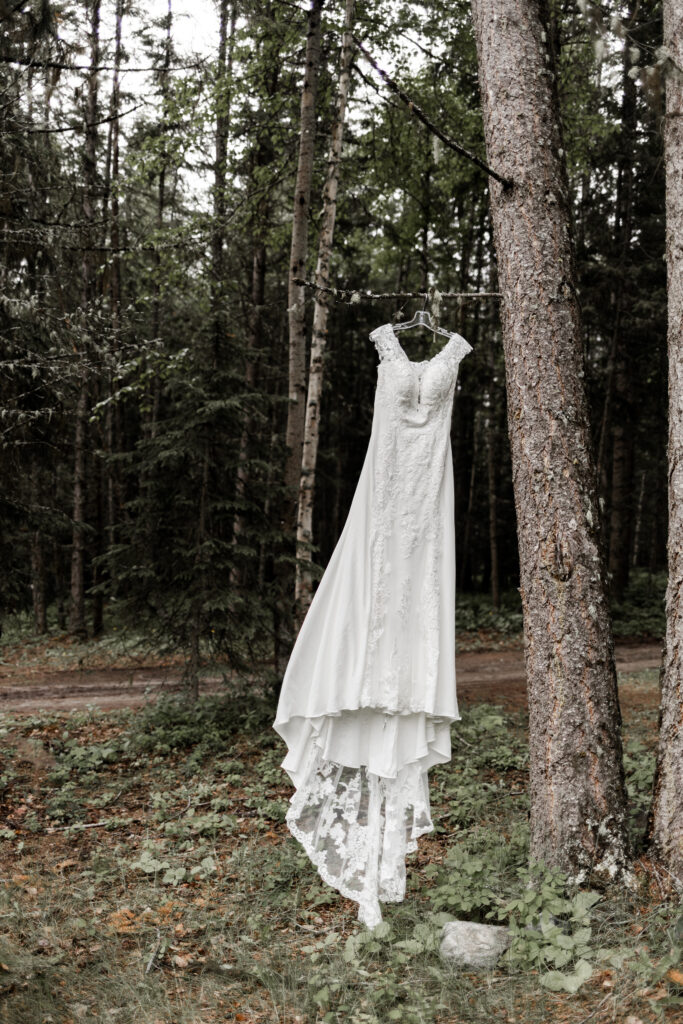 A wedding dress hanging in a tree at this canim lake wedding