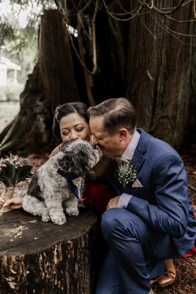 The couple crouch beside their dog at their Gibsons Island summer camp wedding at Camp Elphinstone