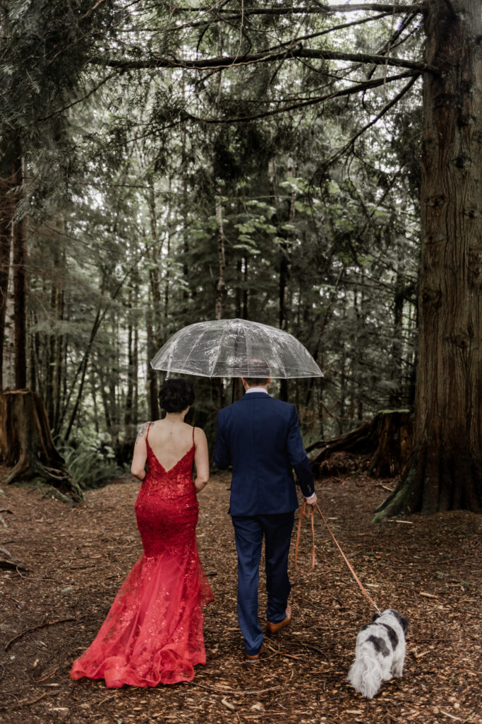 The bride and groom walk under a clear umbrella with their dog at this Gibsons Island summer camp wedding at Camp Elphinstone