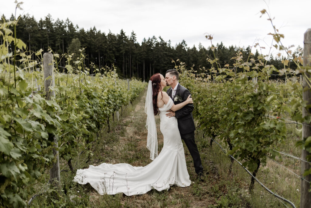 bride and groom share a kiss in the rows of the vineyards at this Cobble Hill Winery wedding