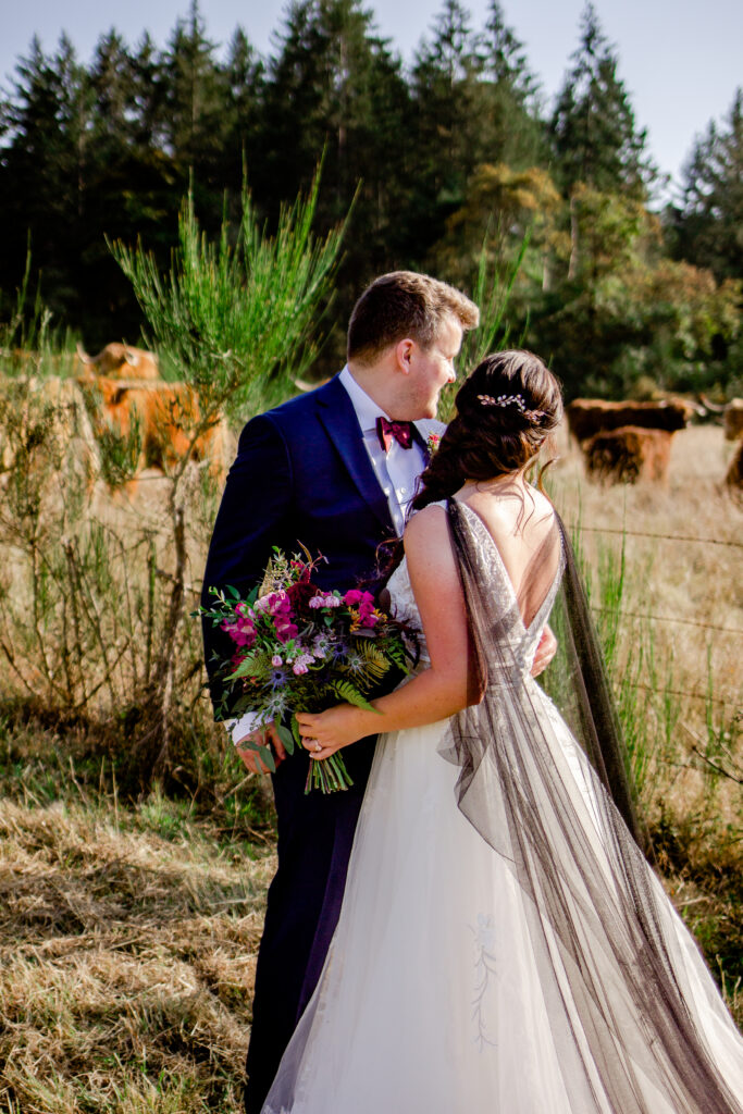 Bride and groom admire the highland cows at this Bird's Eye Cove wedding