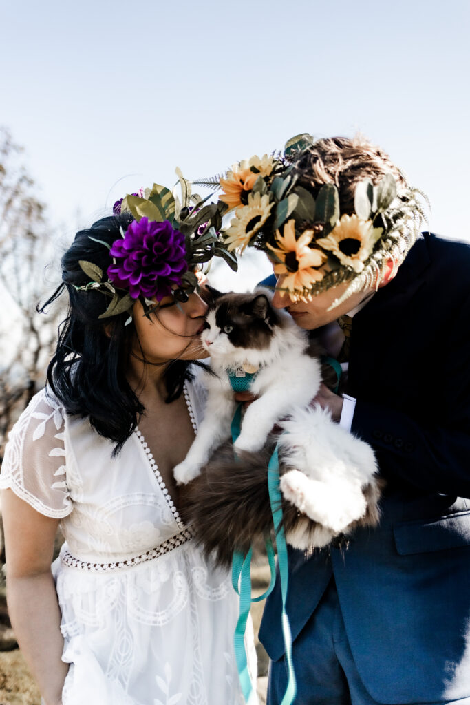 A bride and groom wearing flower crowns pose with their cat at the Mount Douglas Elopement, each kissing the cat on the side of its face.