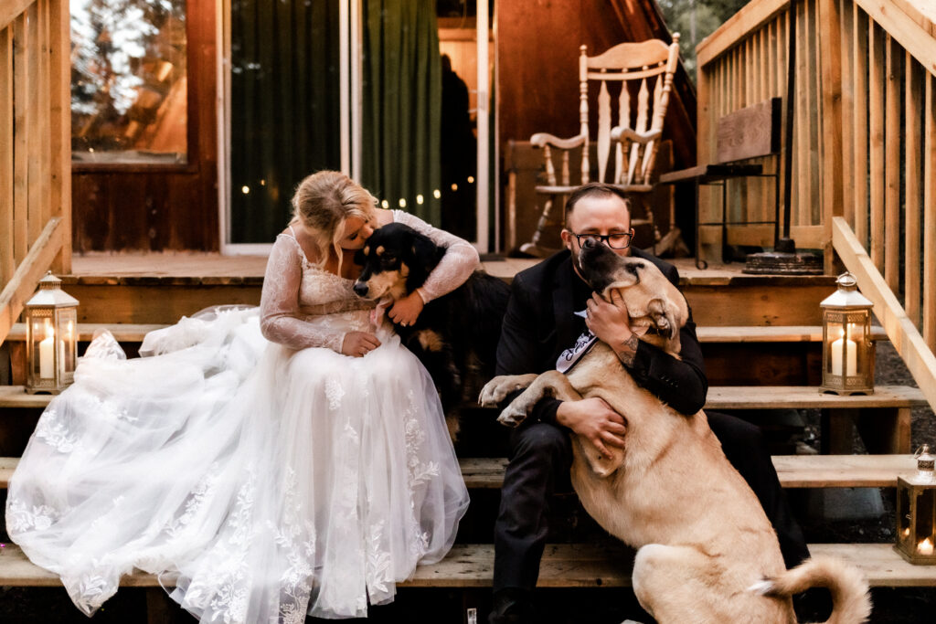 bride and groom cuddle their dogs at this cabin elopement