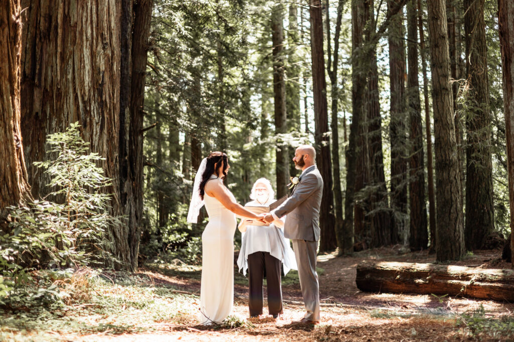 A couple stand holding hands in front of an officiant at their "just us" elopement in jedediah smith state park 