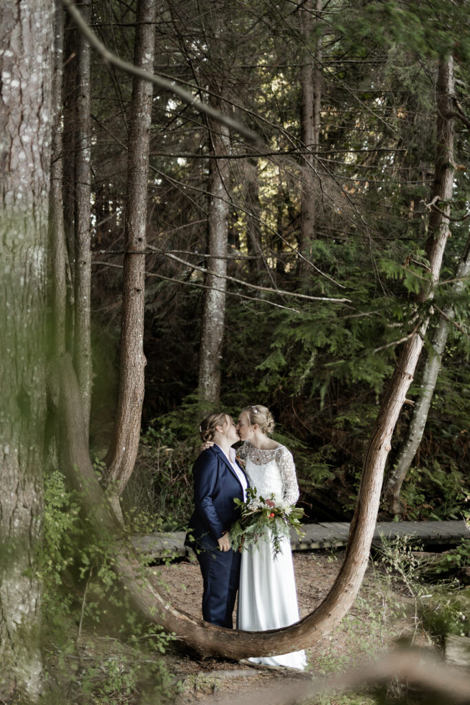 The couple stand behind a 'U' shaped tree sharing a kiss at this Camp Elphinstone wedding.