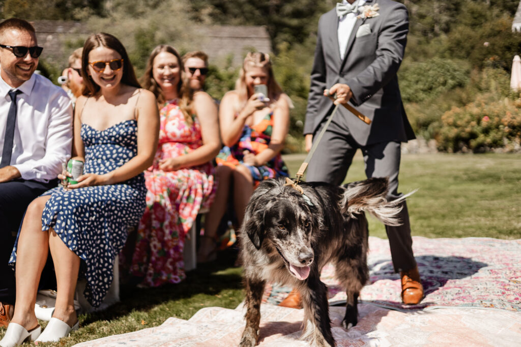 The bride and grooms black dog walks down the aisle as a ring bearer at this Kildara Farms wedding