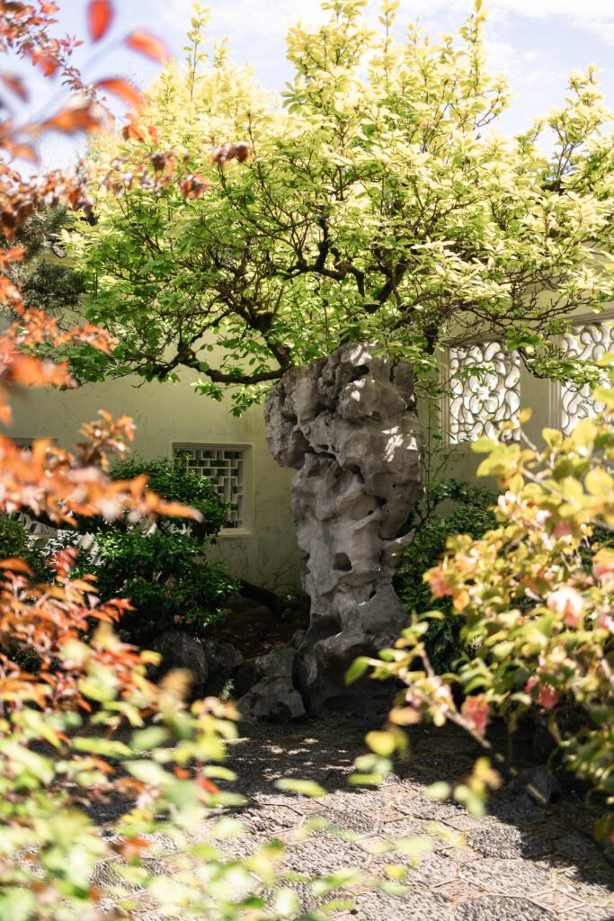 Plants at ceremony location at Dr. Sun Yat-Sen Classical Chinese Garden wedding venue