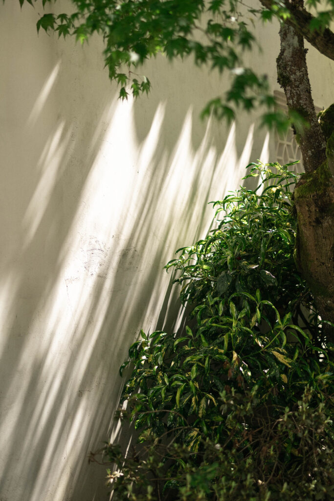 Dr. Sun Yat-Sen Classical Chinese Garden wedding venue