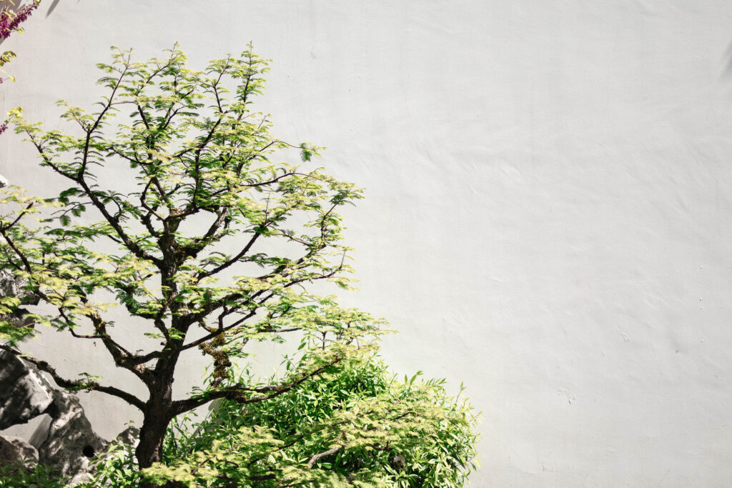 Minimalistic wall for couples portraits at Dr. Sun Yat-Sen Classical Chinese Garden wedding venue