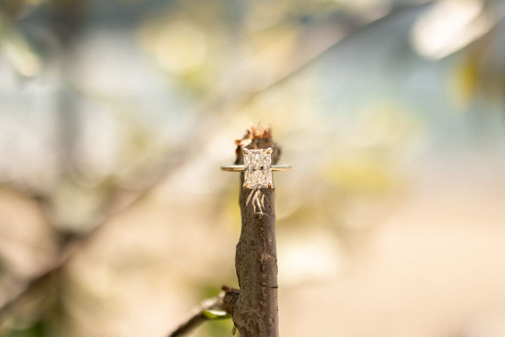 Beach Proposal in the Fraser Valley