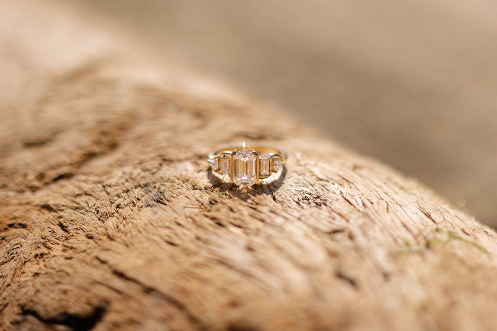 Proposal at Whytecliff Park in Vancouver, BC